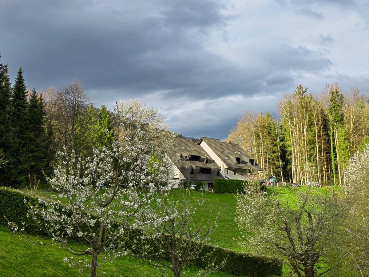 Apartamento Prenocisca Mraz Velenje Exterior foto